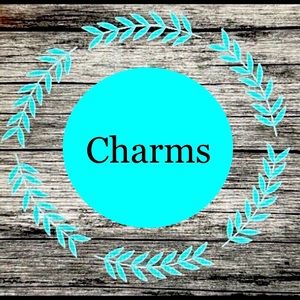 Pandora STYLE charms